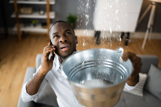 Best Water damage restoration experts  in Richnd, MO