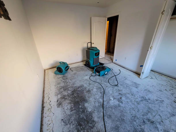 Best Mold removal after water damage  in Richnd, MO